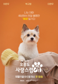 오늘도 사랑스럽개 오늘도 사랑스럽개